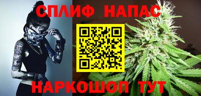 бошки Новозыбков