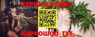 бошки Новозыбков