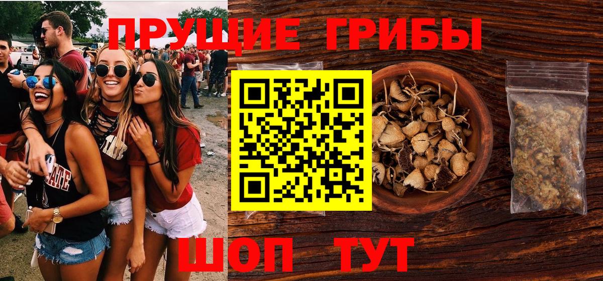 Сальск  Псилоцибиновые грибы Magic Shrooms  Вход с VPN 