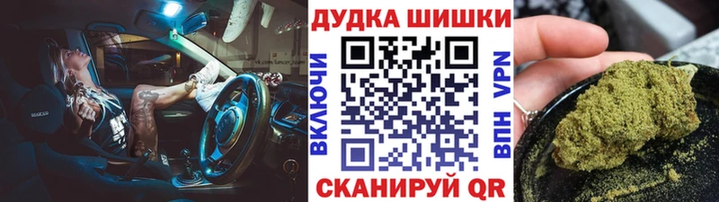 магазин продажи наркотиков  Сальск  Шишки марихуана конопля 