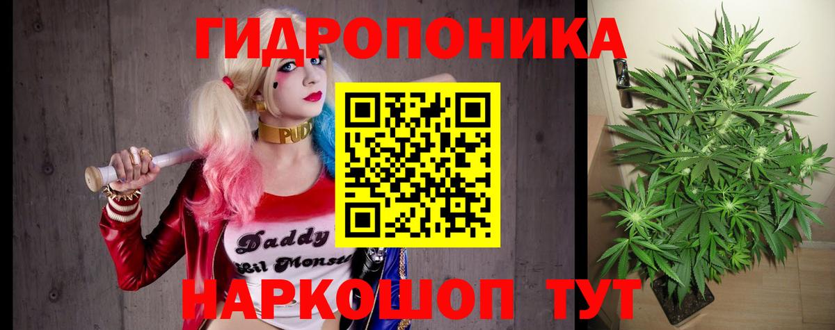 Бошки Шишки семена  Конопля White Widow  Вход с VPN  Каннабис тримм  Марихуана план  Сальск 